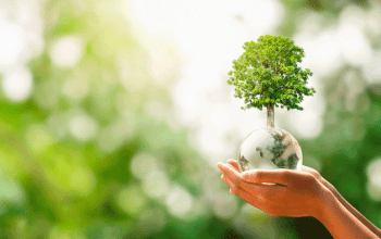 compromiso-medio-ambiente